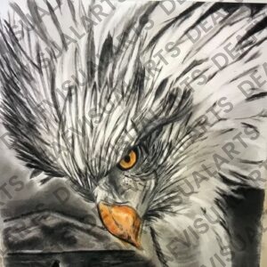 Flight of Freedom